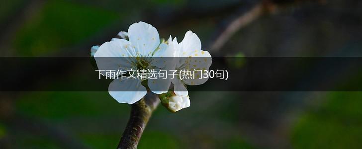 下雨作文精选句子(热门30句),第1张
