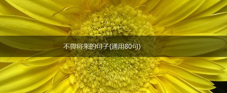 不畏将来的句子(通用80句),第1张