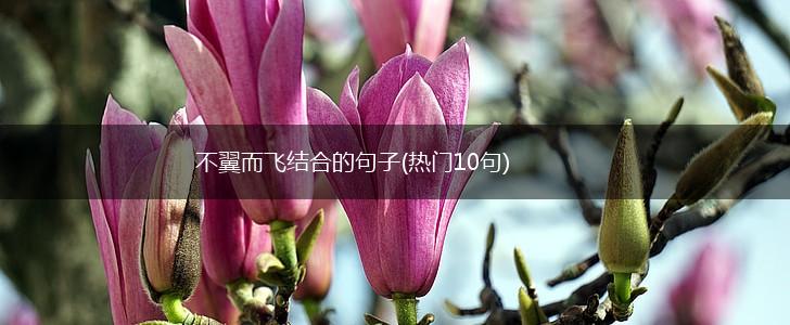 不翼而飞结合的句子(热门10句),第1张