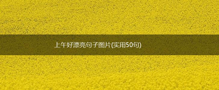 上午好漂亮句子图片(实用50句),第1张