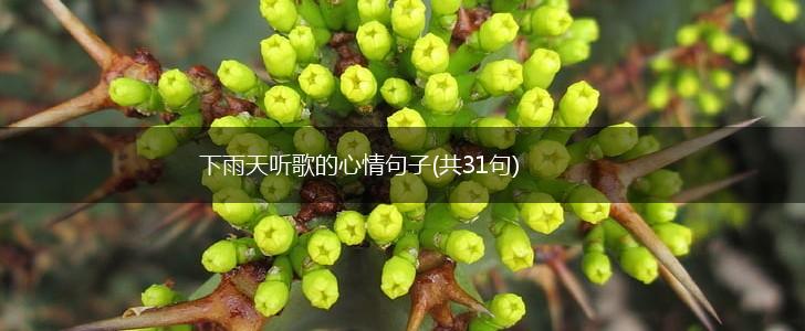 下雨天听歌的心情句子(共31句),第1张