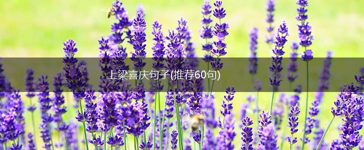 上梁喜庆句子(推荐60句),第1张