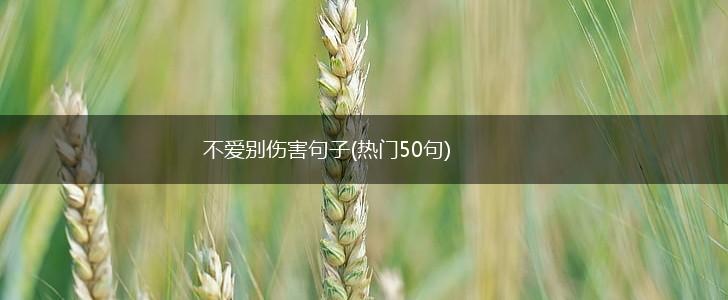不爱别伤害句子(热门50句),第1张