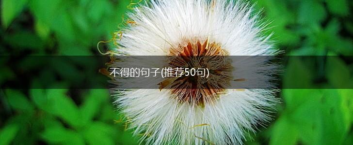 不得的句子(推荐50句),第1张