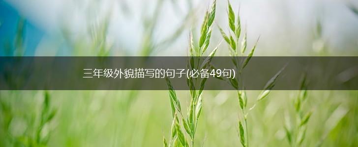 三年级外貌描写的句子(必备49句),第1张