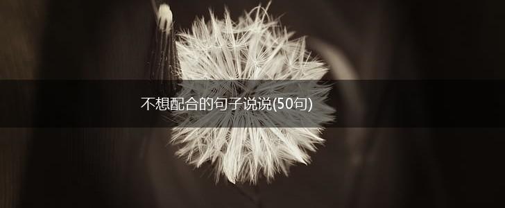 不想配合的句子说说(50句),第1张