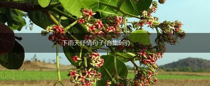 下雨天抒情句子(合集9句),第1张
