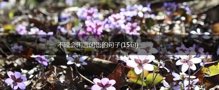 不理会闲言闲语的句子(15句),第1张