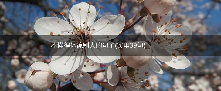 不懂得体谅别人的句子(实用39句),第1张