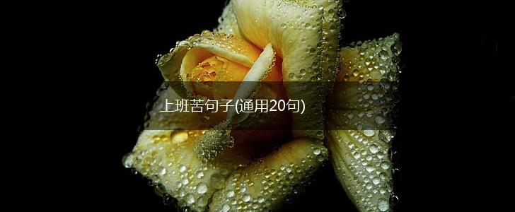 上班苦句子(通用20句),第1张