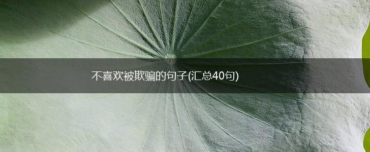 不喜欢被欺骗的句子(汇总40句),第1张