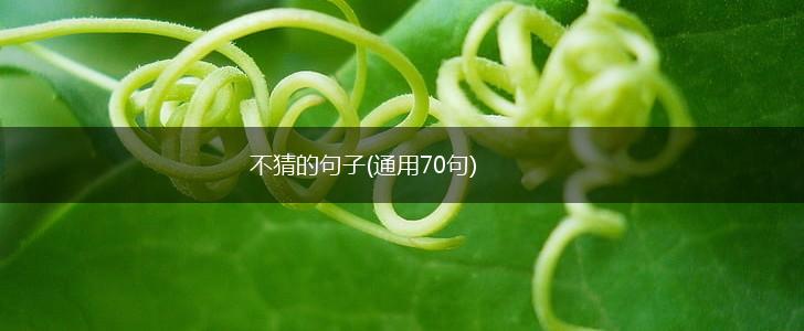 不猜的句子(通用70句),第1张