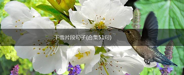 下雪片段句子(合集51句),第1张