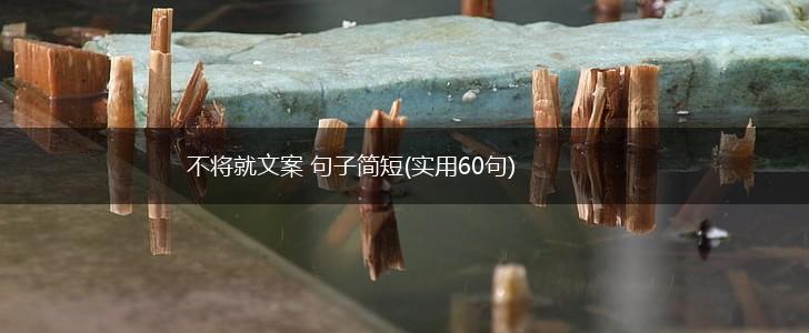 不将就文案 句子简短(实用60句),第1张