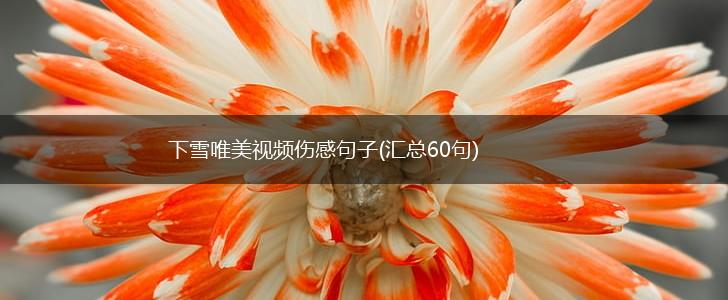 下雪唯美视频伤感句子(汇总60句),第1张