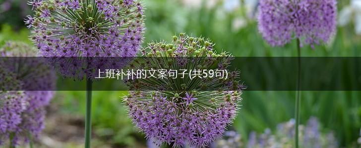 上班补补的文案句子(共59句),第1张