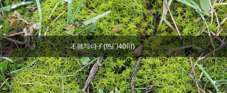 不就写句子(热门40句),第1张