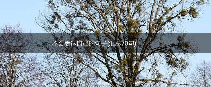 不会表达自己的句子(汇总70句),第1张