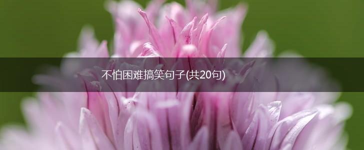 不怕困难搞笑句子(共20句),第1张