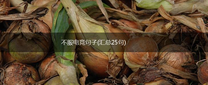 不服电竞句子(汇总25句),第1张