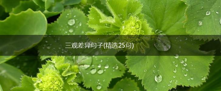 三观差异句子(精选25句),第1张