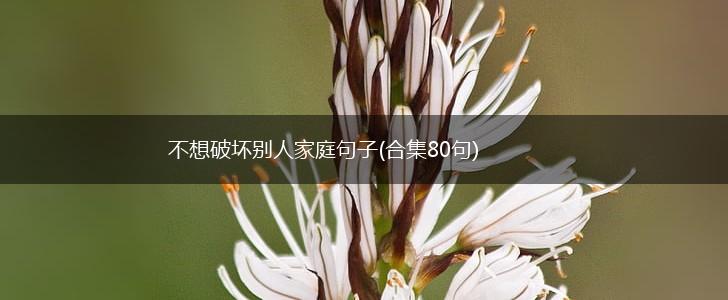 不想破坏别人家庭句子(合集80句),第1张