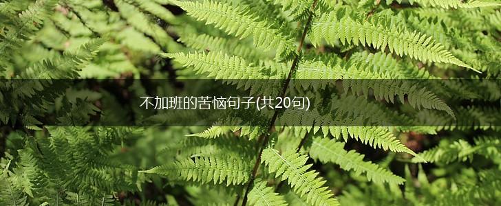 不加班的苦恼句子(共20句),第1张