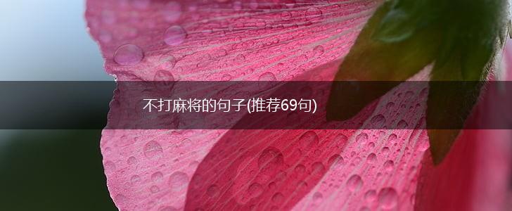 不打麻将的句子(推荐69句),第1张