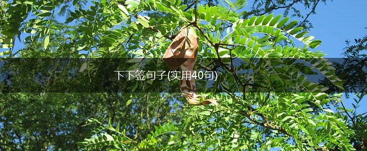 下下签句子(实用40句),第1张