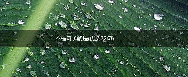 不是句子就是(优选72句),第1张