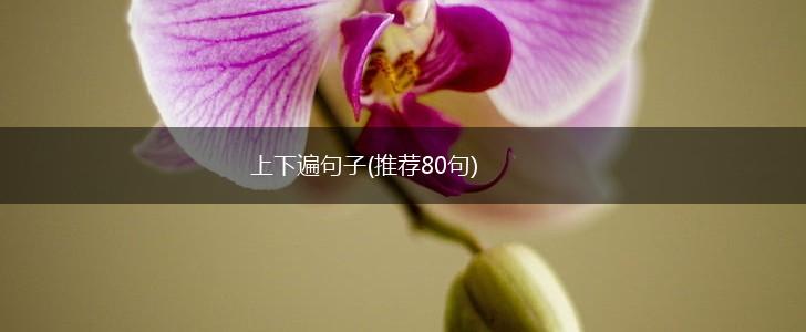 上下遍句子(推荐80句),第1张