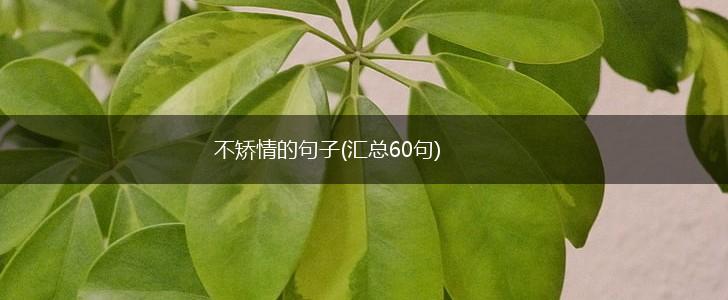不矫情的句子(汇总60句),第1张