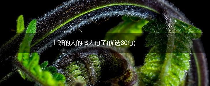 上班的人的感人句子(优选80句),第1张