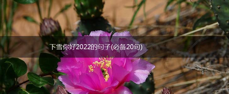 下雪你好2022的句子(必备20句),第1张