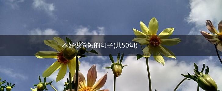 不好做简短的句子(共50句),第1张