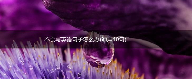 不会写英语句子怎么办(通用40句),第1张
