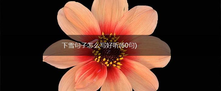下雪句子怎么写好听(60句),第1张