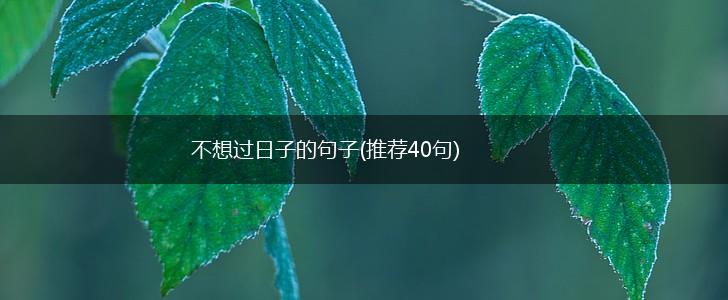 不想过日子的句子(推荐40句),第1张