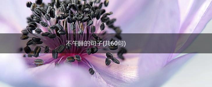 不午睡的句子(共60句),第1张