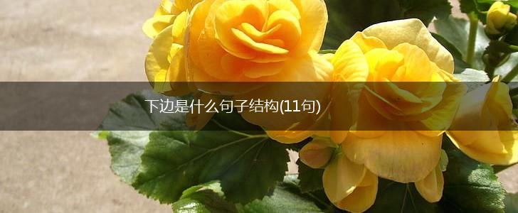 下边是什么句子结构(11句),第1张