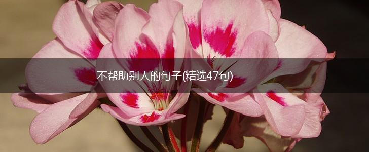 不帮助别人的句子(精选47句),第1张