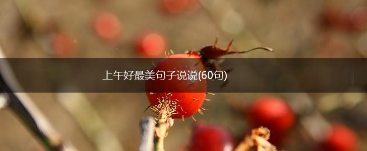 上午好最美句子说说(60句),第1张