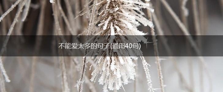 不能爱太多的句子(通用40句),第1张