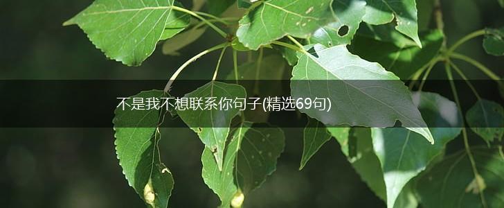 不是我不想联系你句子(精选69句),第1张