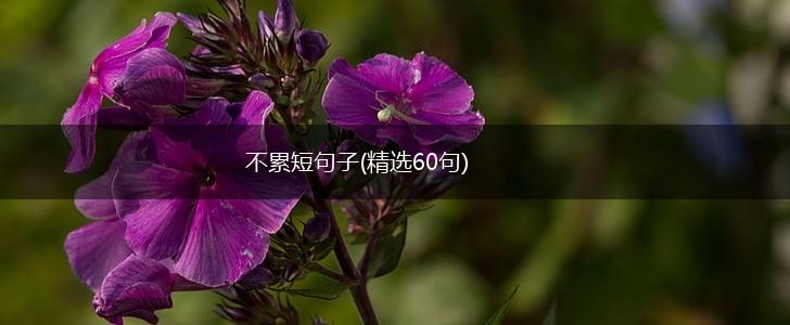 不累短句子(精选60句),第1张