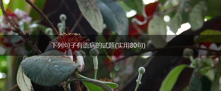 下列句子有语病的试题(实用80句),第1张