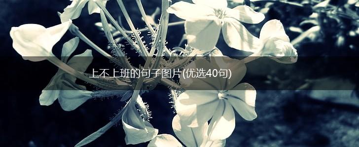上不上班的句子图片(优选40句),第1张