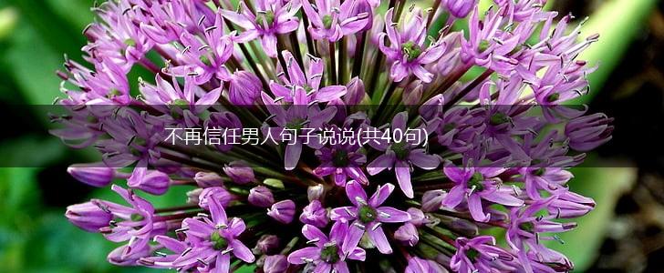 不再信任男人句子说说(共40句),第1张