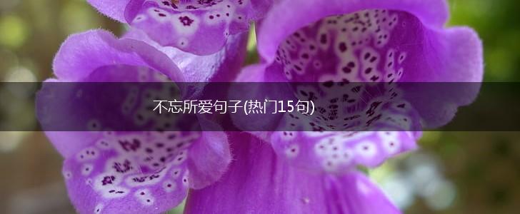 不忘所爱句子(热门15句),第1张