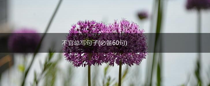 不官总写句子(必备60句),第1张